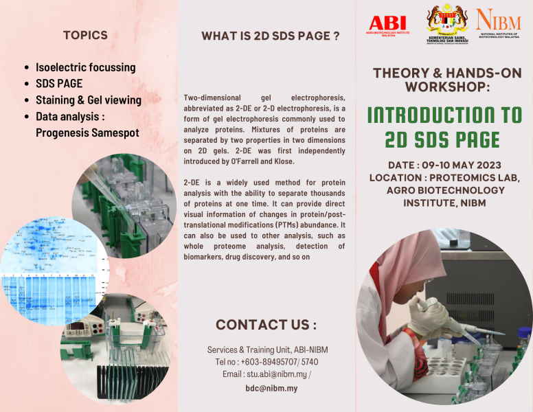 2D_SDS_PAGE-2